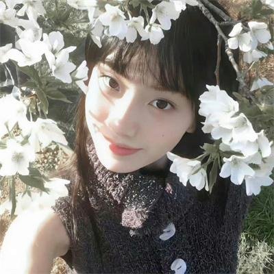 同志音乐会